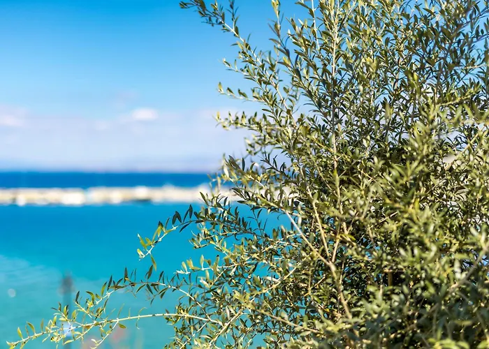 ゲストハウス The House マリンスカ