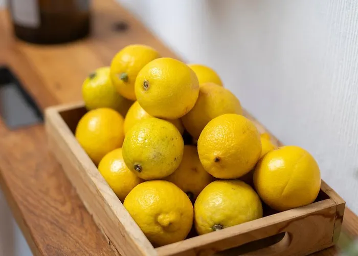 The House ゲストハウス マリンスカ