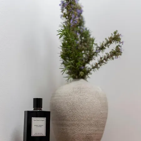 Πανσιόν The House 4*